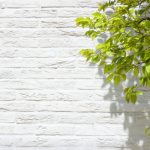 9年で東証一部に上場したタテル(TATERU)の成長エンジンとは