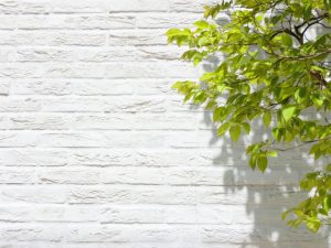 9年で東証一部に上場したタテル(TATERU)の成長エンジンとは