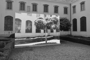 白石達也の「ぷかぷかiTuber」とは？特徴を徹底解説！