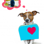 皆の「黒歴史」教えて!見た目はできる大人なあの人もじつは・・・