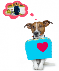 皆の「黒歴史」教えて！見た目はできる大人なあの人もじつは・・・