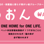 アニスピホールディングスが展開しているわおん事業を徹底調査!