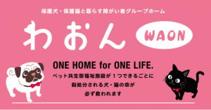 アニスピホールディングスが展開しているわおん事業を徹底調査！