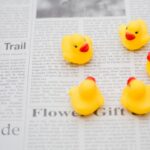 トランスクリエイターズは怪しいのか?真相を調査