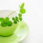 ブロードリーフはどんな会社?社風と働きやすさを大調査